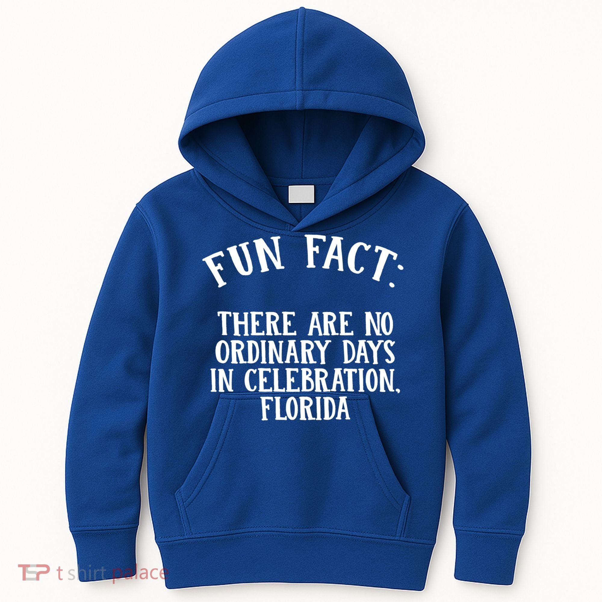 No Ordinary Days In Celebration Florida Pun Fl Joke Cute Gift Kids Hoodie