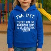 No Ordinary Days In Celebration Florida Pun Fl Joke Cute Gift Kids Hoodie thumb 3