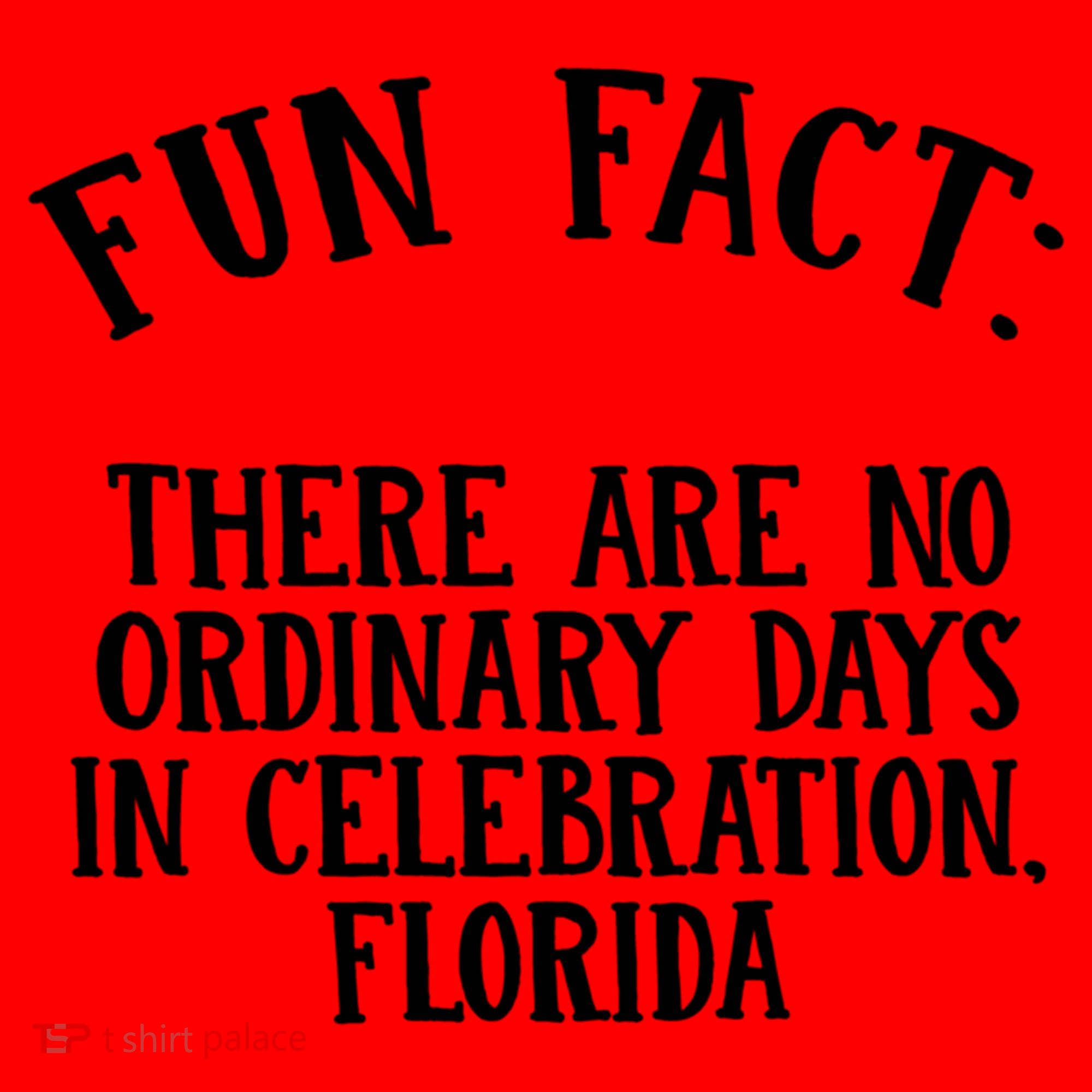 No Ordinary Days In Celebration Florida Pun Fl Joke Cute Gift Santa Hat
