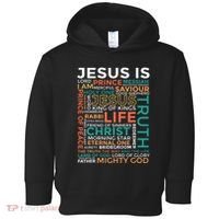 Names Of Jesus Jesus Is Christian Toddler Hoodie thumb 0