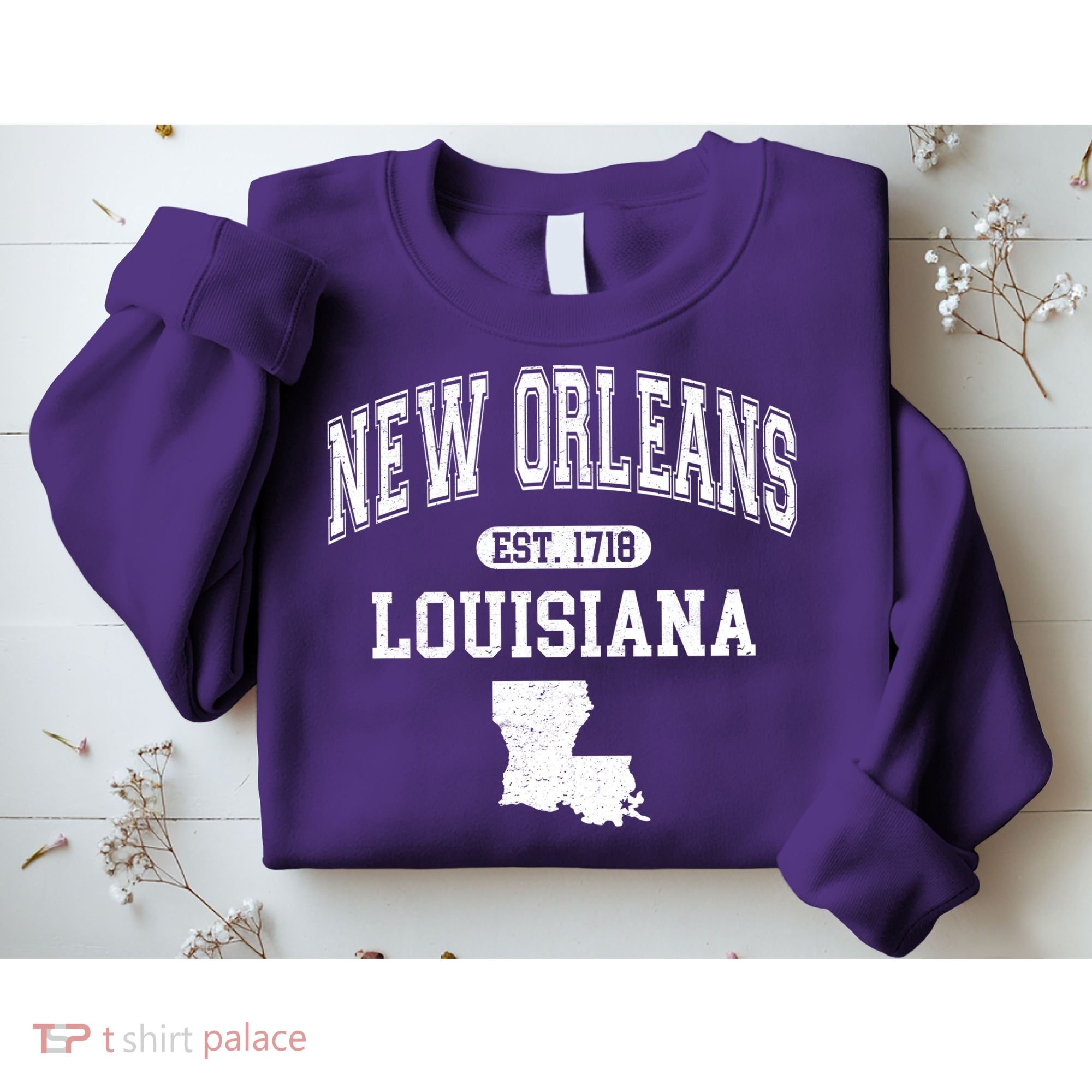New Orleans Louisiana Est 1718 Varsity Sweatshirt