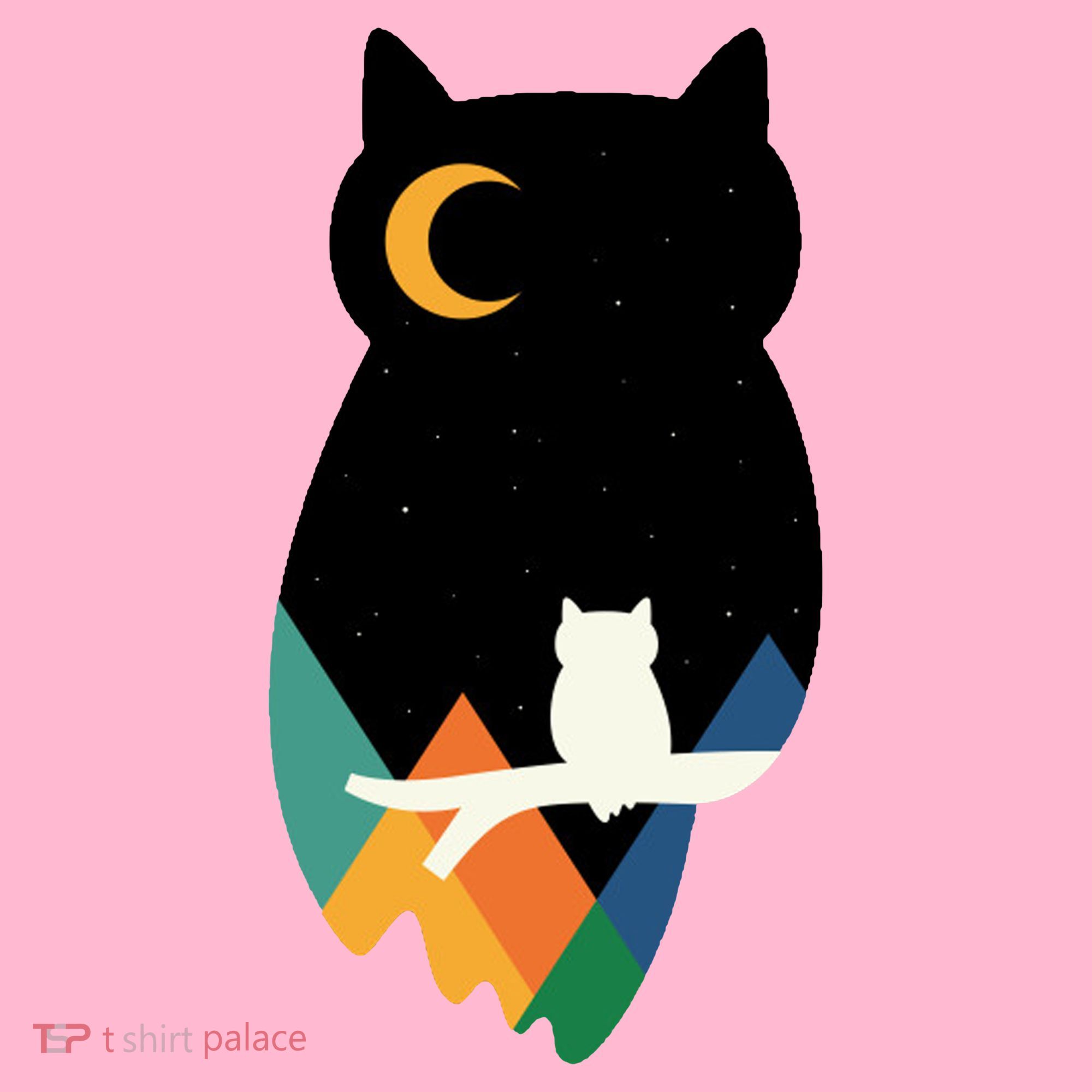 Night Owl Moon Pyramid Coaster