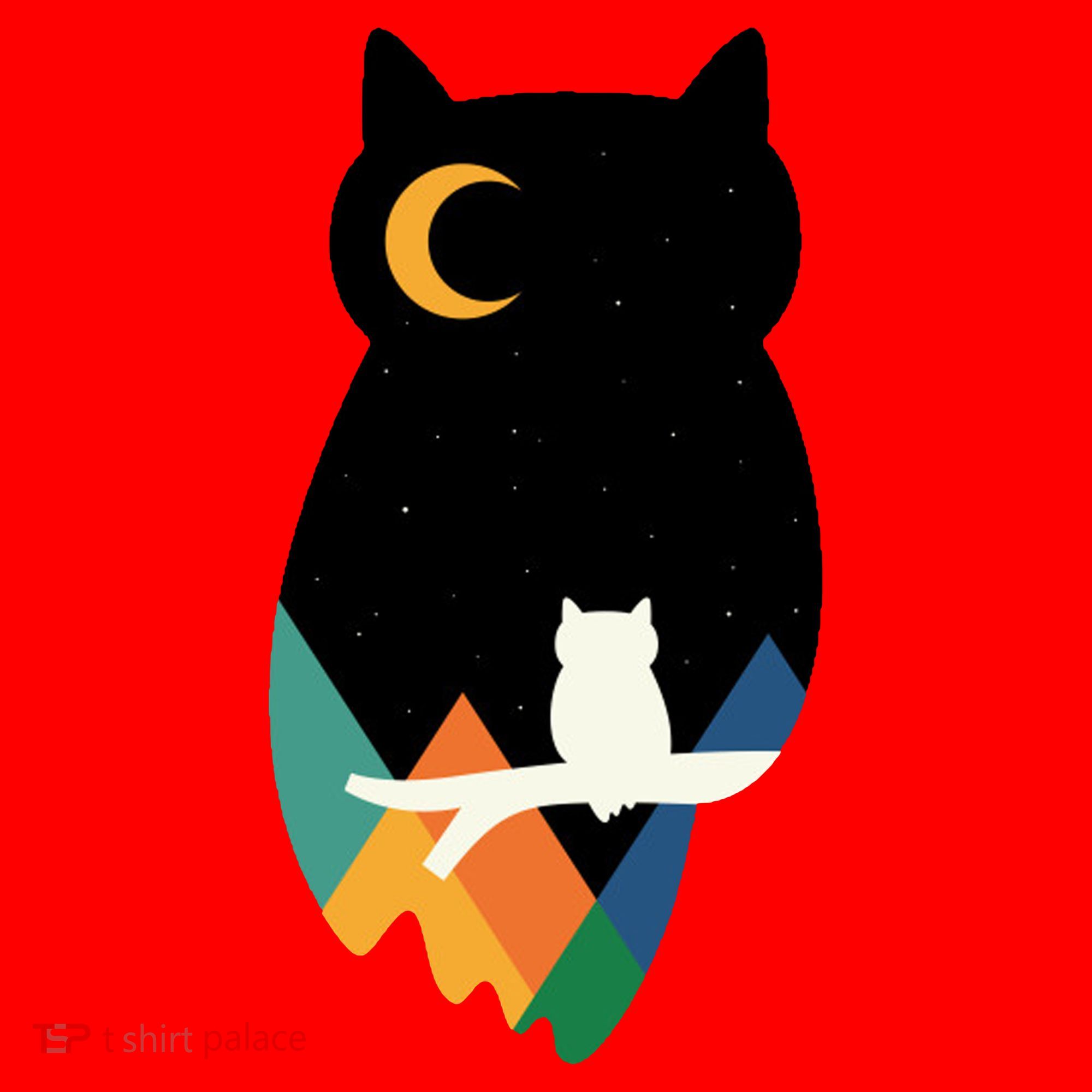 Night Owl Moon Pyramid Santa Hat
