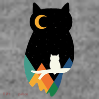 Night Owl Moon Pyramid Toddler Hoodie thumb 2
