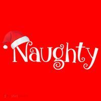 Naughty Or Nice Costume Matching Christmas Couples T Santa Hat thumb 1