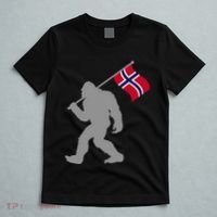 Norge Or Norwegian Flag On Norway Flag T-Shirt thumb 5