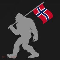 Norge Or Norwegian Flag On Norway Flag T-Shirt thumb 7
