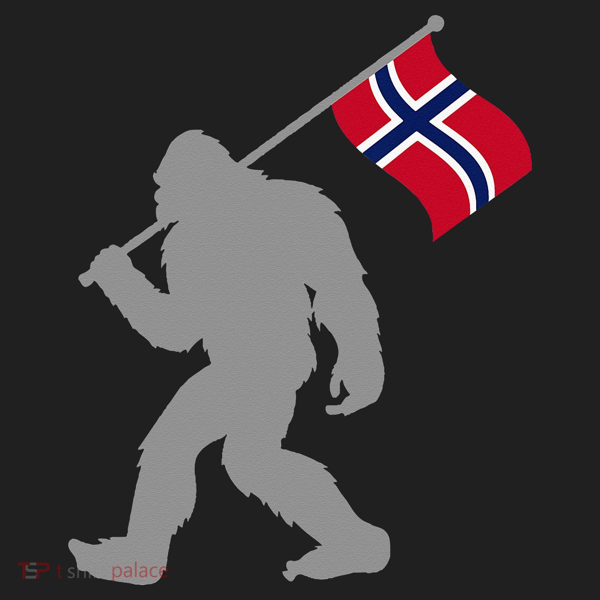 Norge Or Norwegian Flag On Norway Flag Beanie