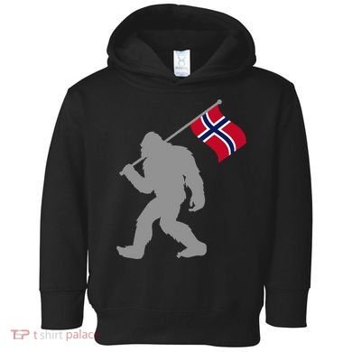 Norge Or Norwegian Flag On Norway Flag Toddler Hoodie