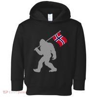 Norge Or Norwegian Flag On Norway Flag Toddler Hoodie thumb 0