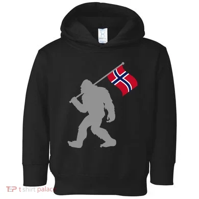Toddler Hoodie