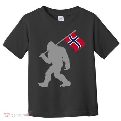 Norge Or Norwegian Flag On Norway Flag Toddler T-Shirt