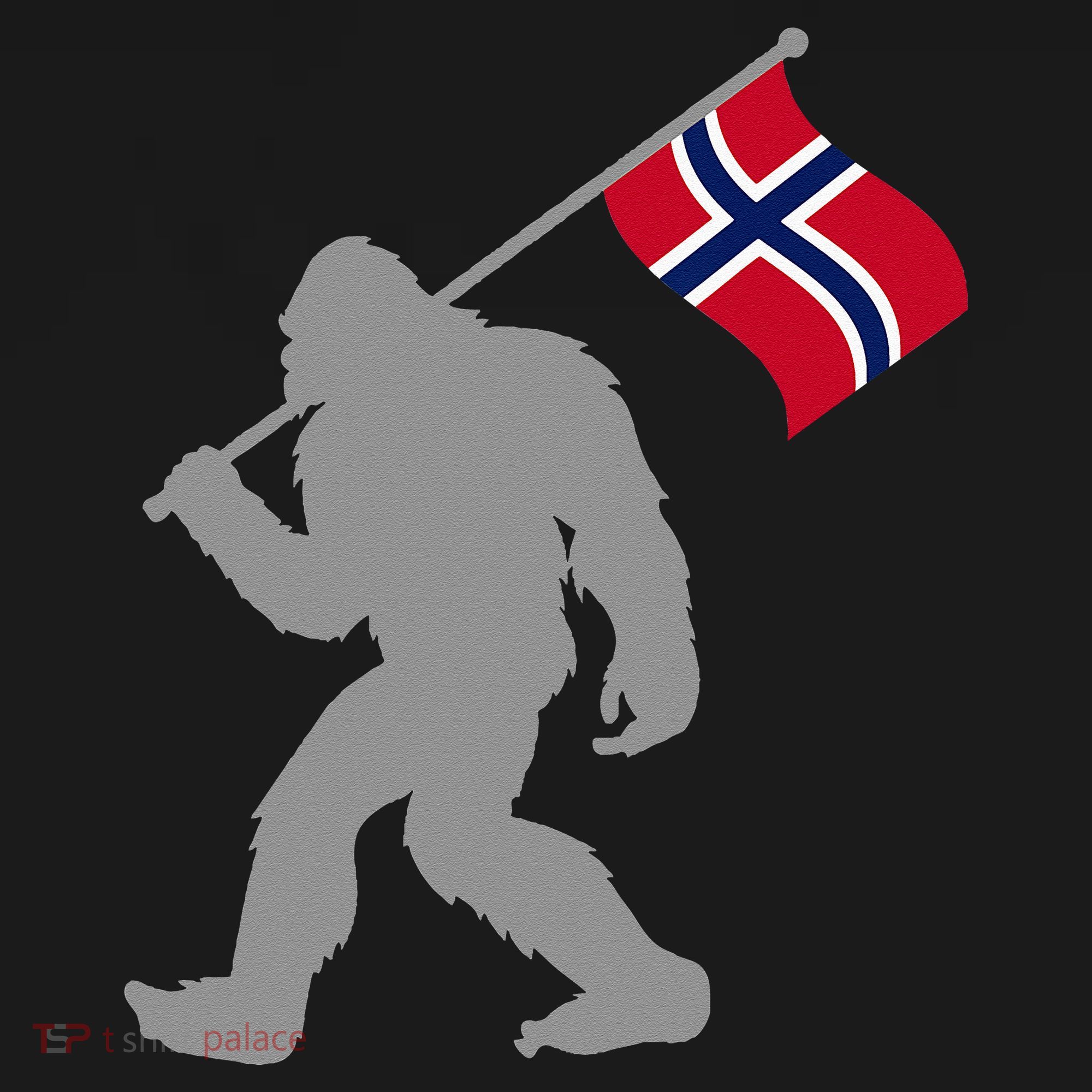 Norge Or Norwegian Flag On Norway Flag Visor