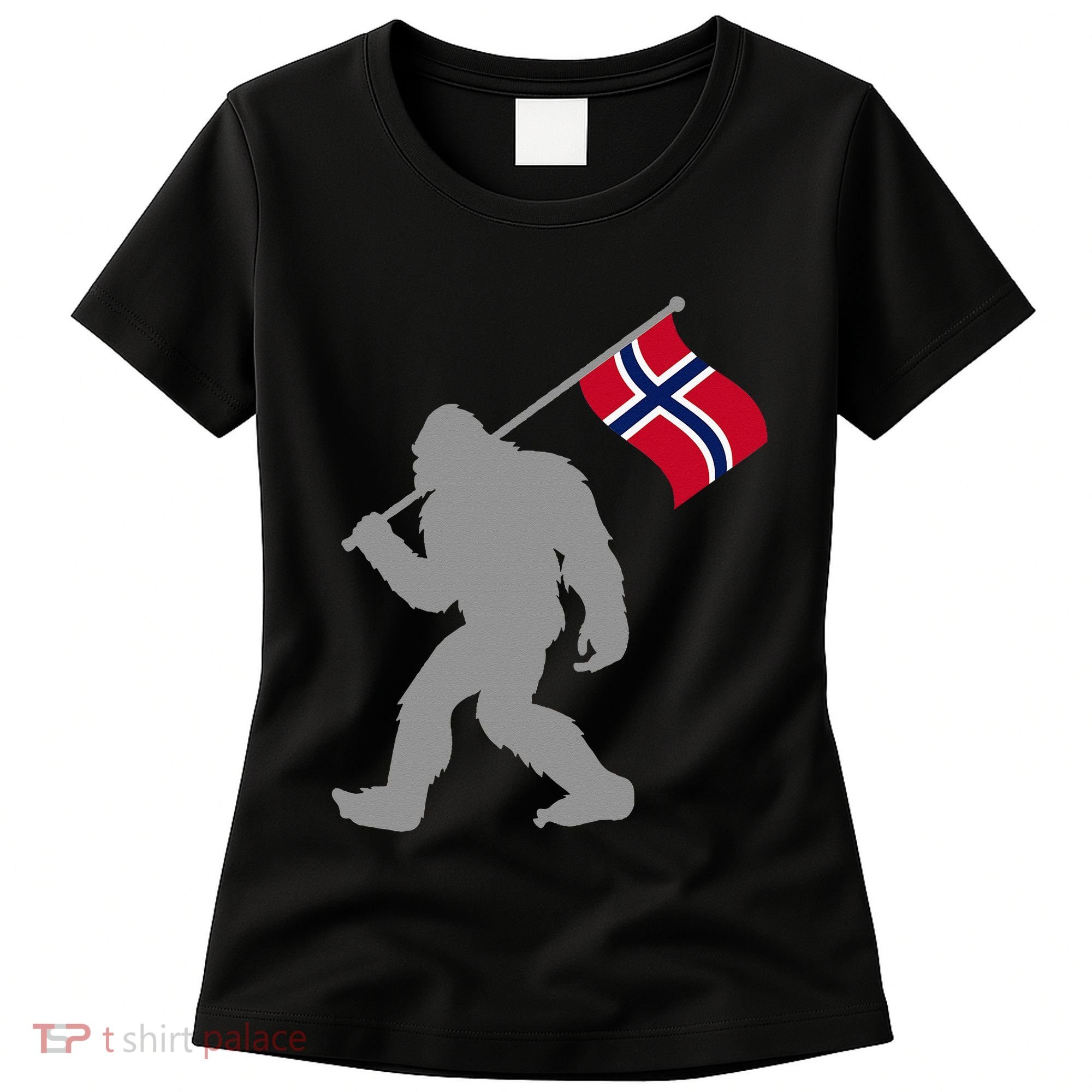 Norge Or Norwegian Flag On Norway Flag Women's T-Shirt