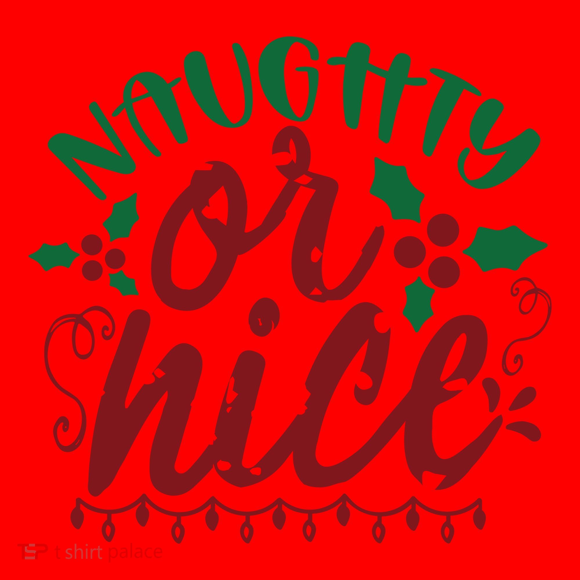 Naughty Or Nice Christmas Holiday Festive Santa Hat