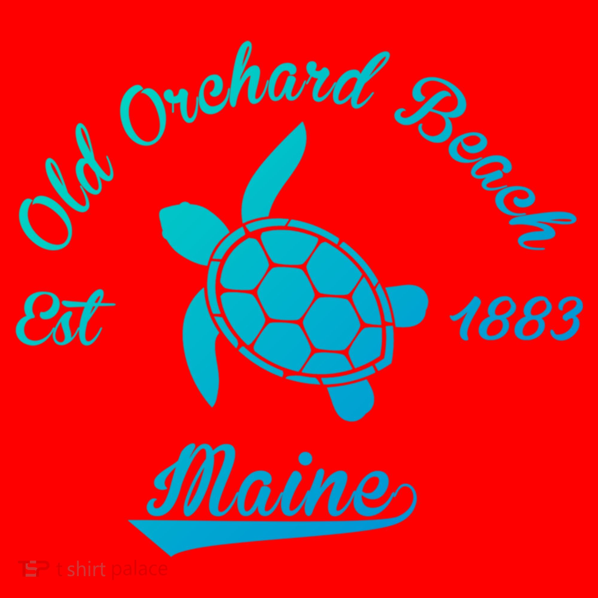 Nautical Old Orchard Beach Maine Sea Turtle Gift Santa Hat