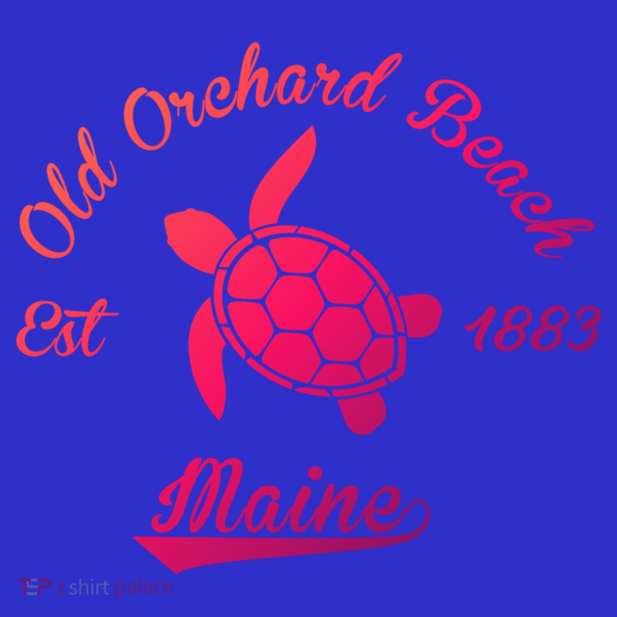 Nautical Old Orchard Beach Maine Sea Turtle Gift Long Sleeve Shirt