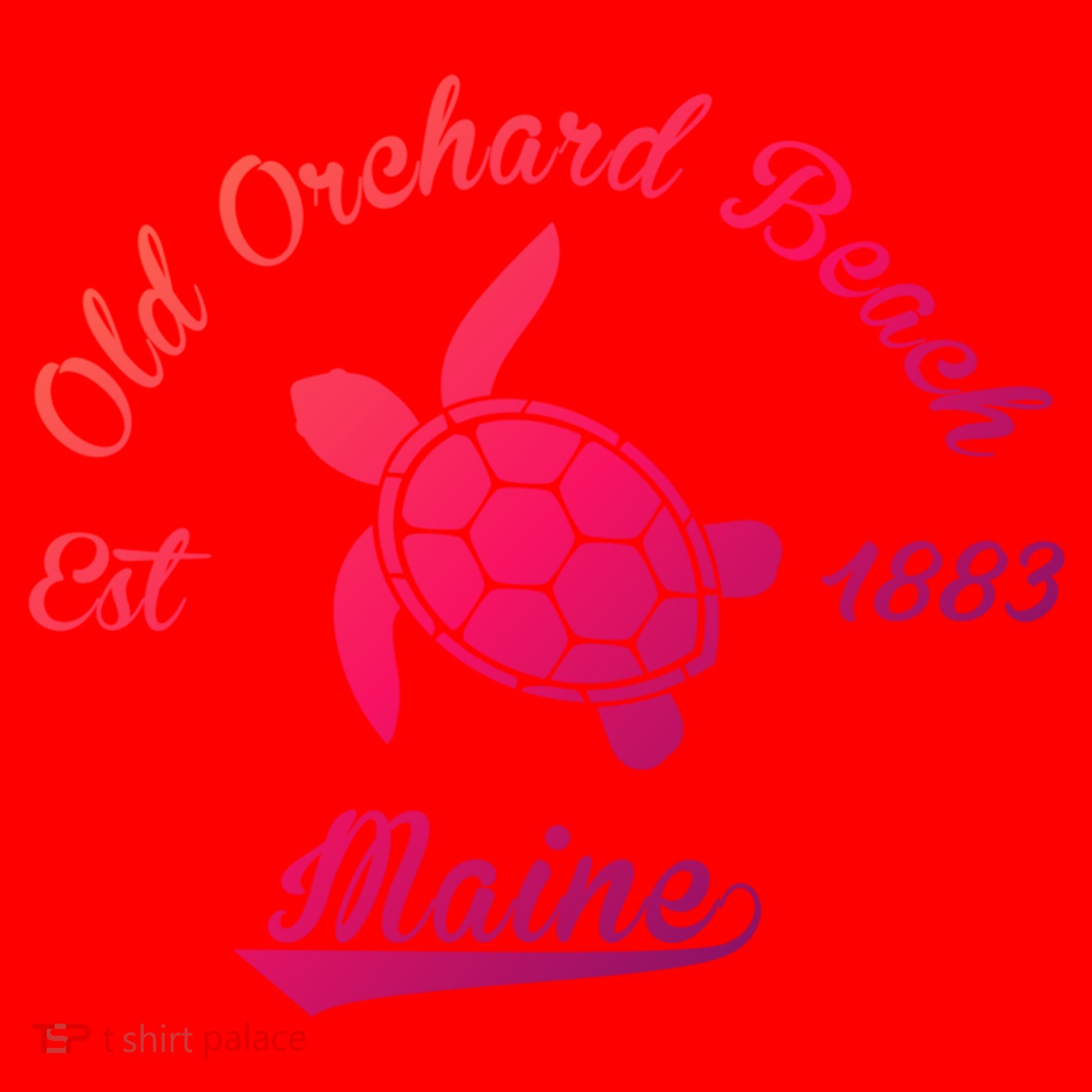 Nautical Old Orchard Beach Maine Sea Turtle Gift Santa Hat
