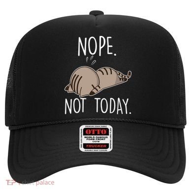 Nope Not Today Funny Lazy Cat Hat