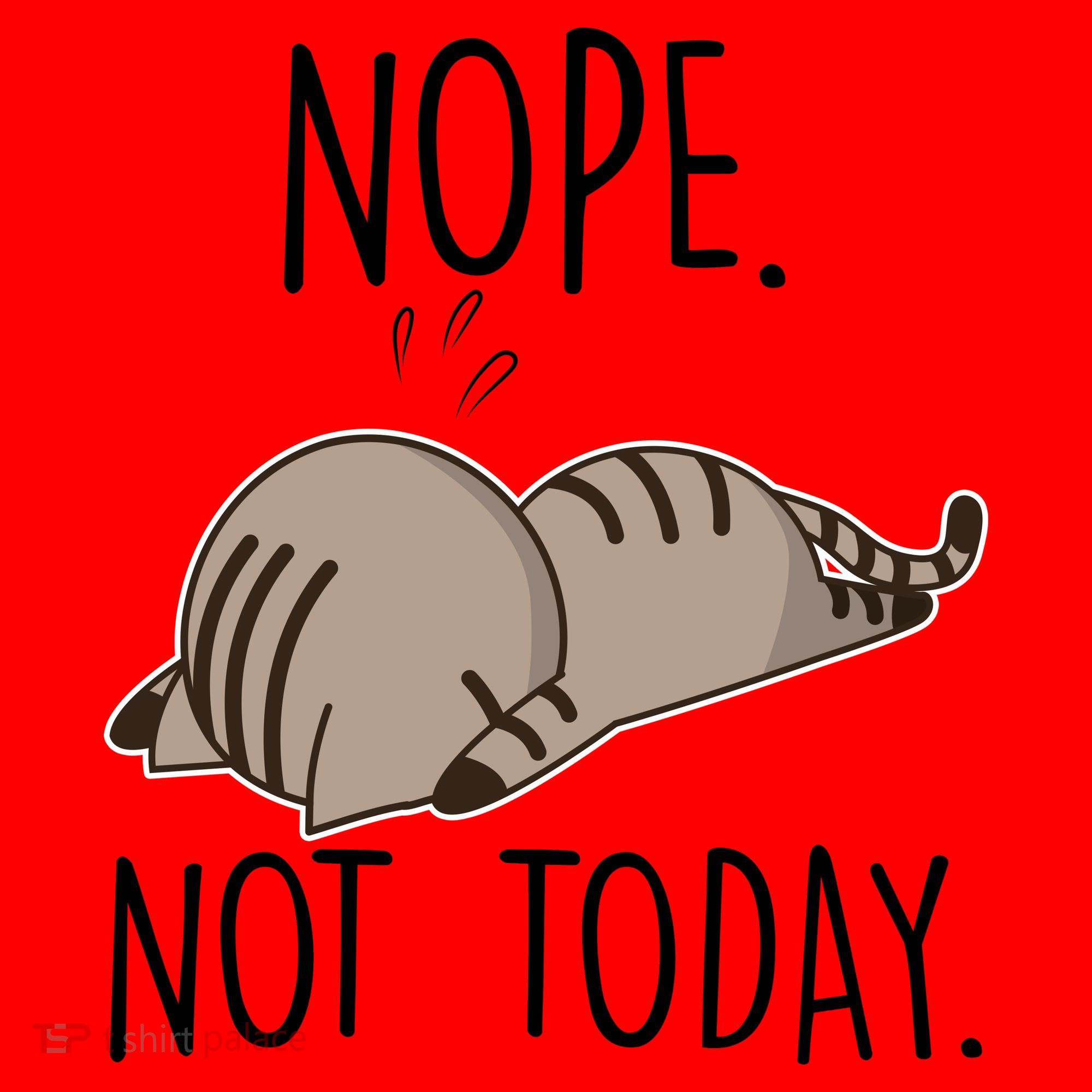 Nope Not Today Funny Lazy Cat Santa Hat