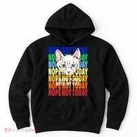 Nope Not Today I Have Plans With My Cat Hoodie thumb 0