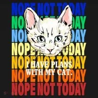 Nope Not Today I Have Plans With My Cat Hoodie thumb 2