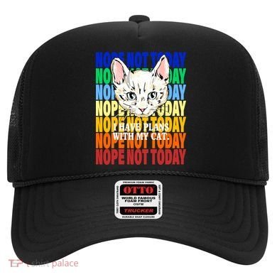 Nope Not Today I Have Plans With My Cat Hat