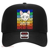 Nope Not Today I Have Plans With My Cat Hat thumb 0