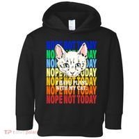 Nope Not Today I Have Plans With My Cat Toddler Hoodie thumb 0