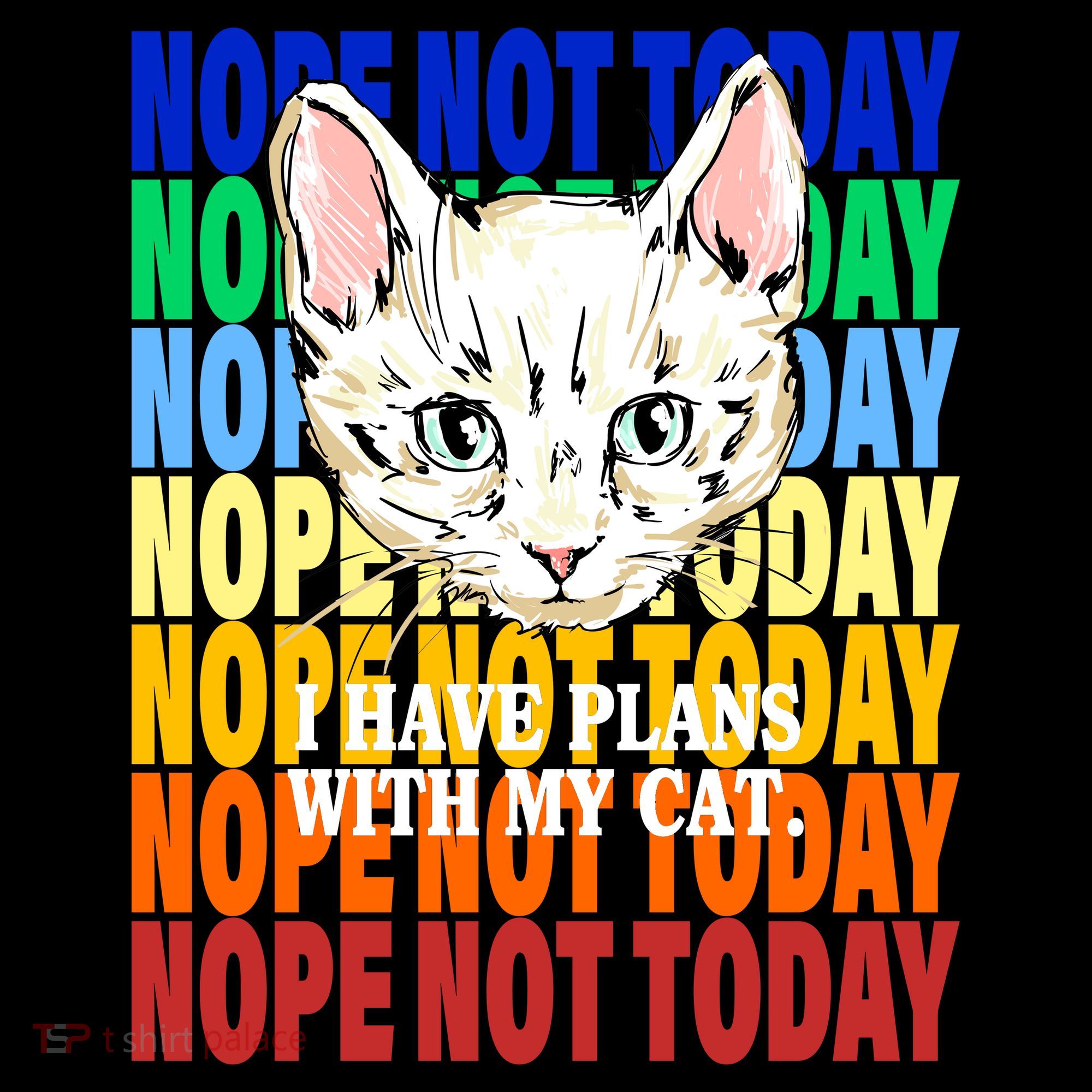 Nope Not Today I Have Plans With My Cat Toddler Hoodie