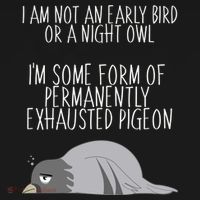 Not An Early Bird Night Owl I'm Some Form Of Permanently Exhausted Pigeon Ornament thumb 1