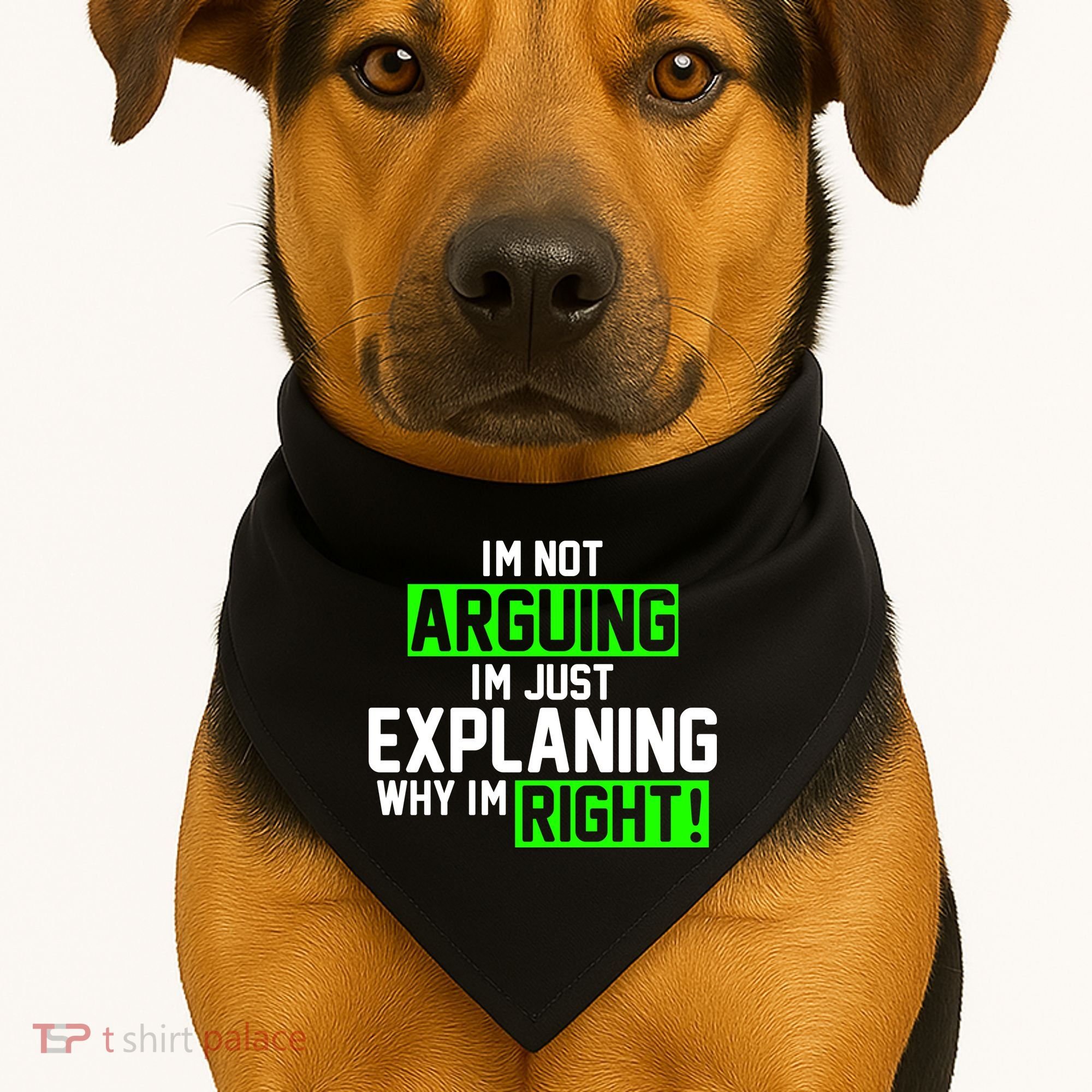 Not Arguing Explaining Why I'm Right Funny Meme USA-Made Doggie Bandana