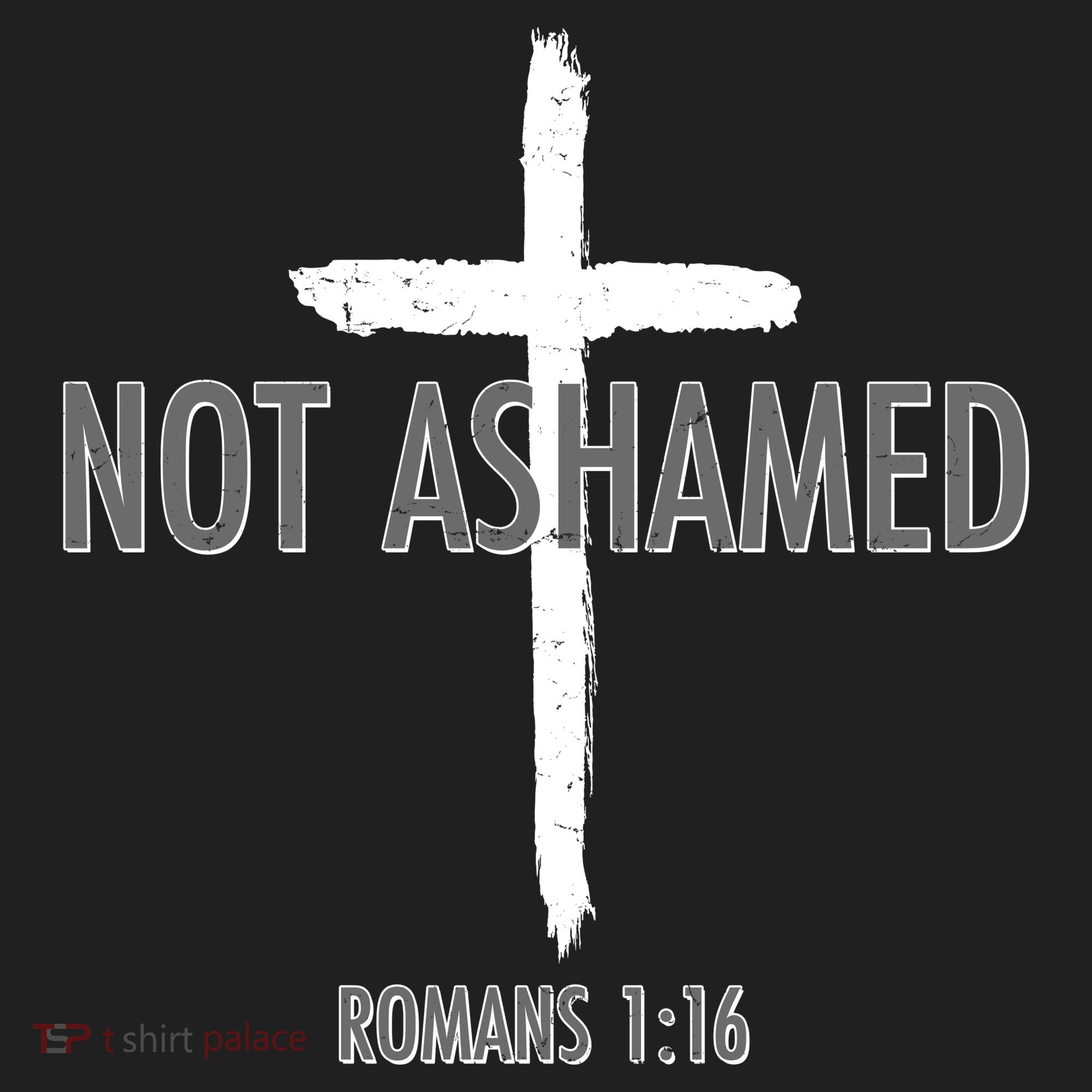 Not Ashamed Romans 1:16 Beanie