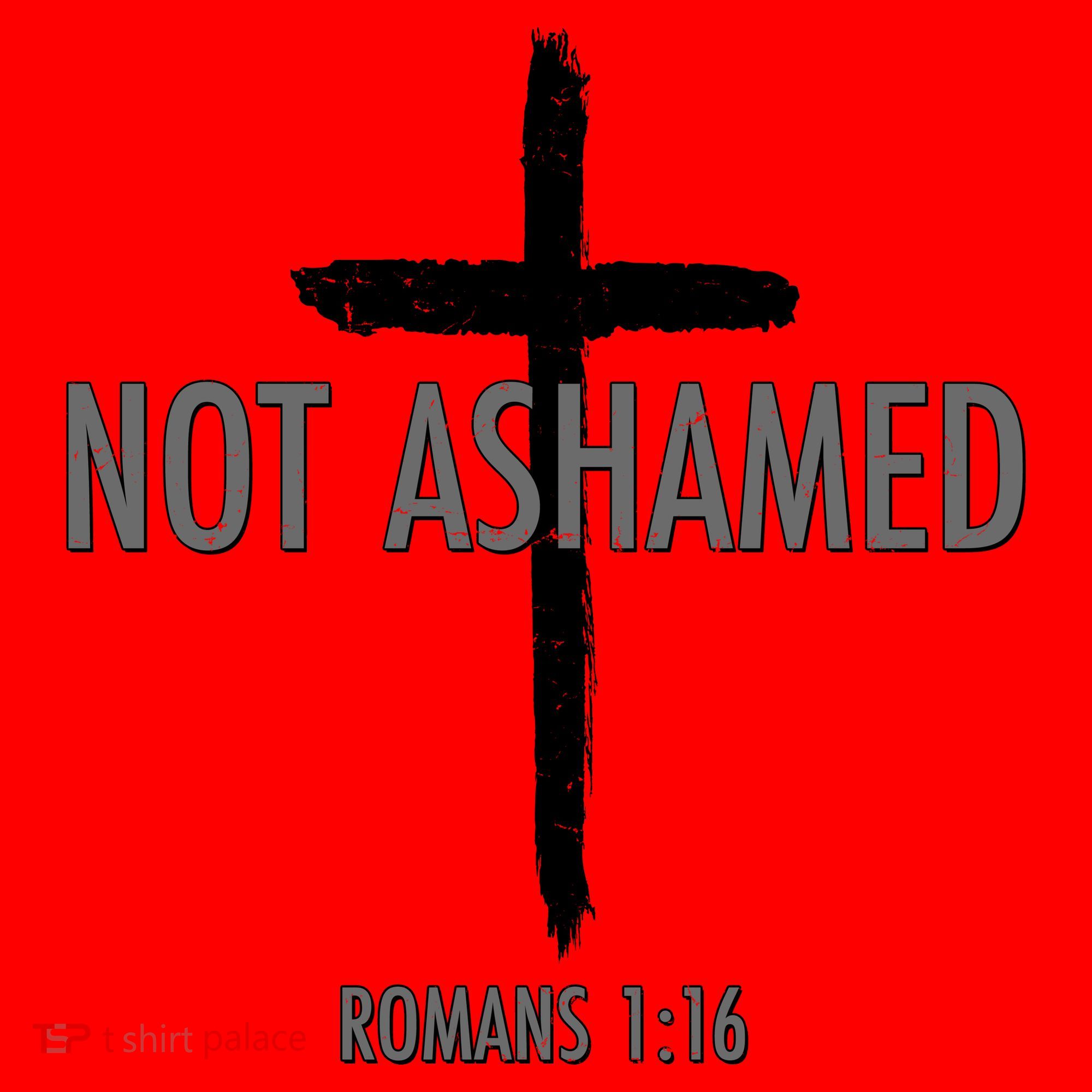 Not Ashamed Romans 1:16 Santa Hat