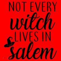 Not Every Witch Live In Salem  Santa Hat thumb 1
