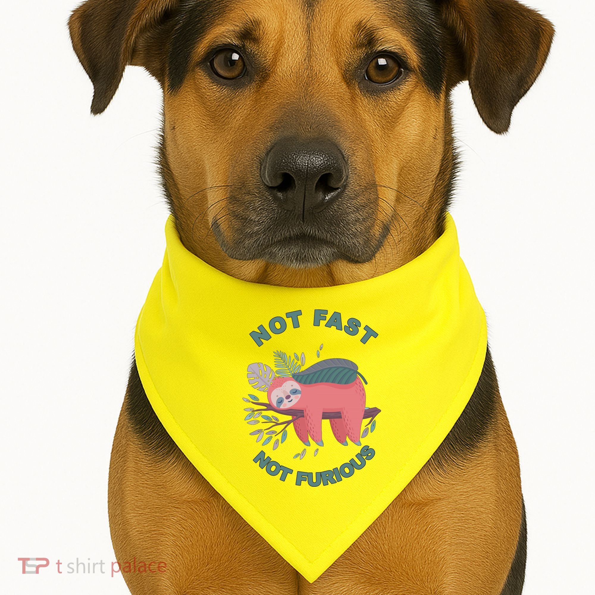 Not Fast Not Furious Sloth Cute USA-Made Doggie Bandana