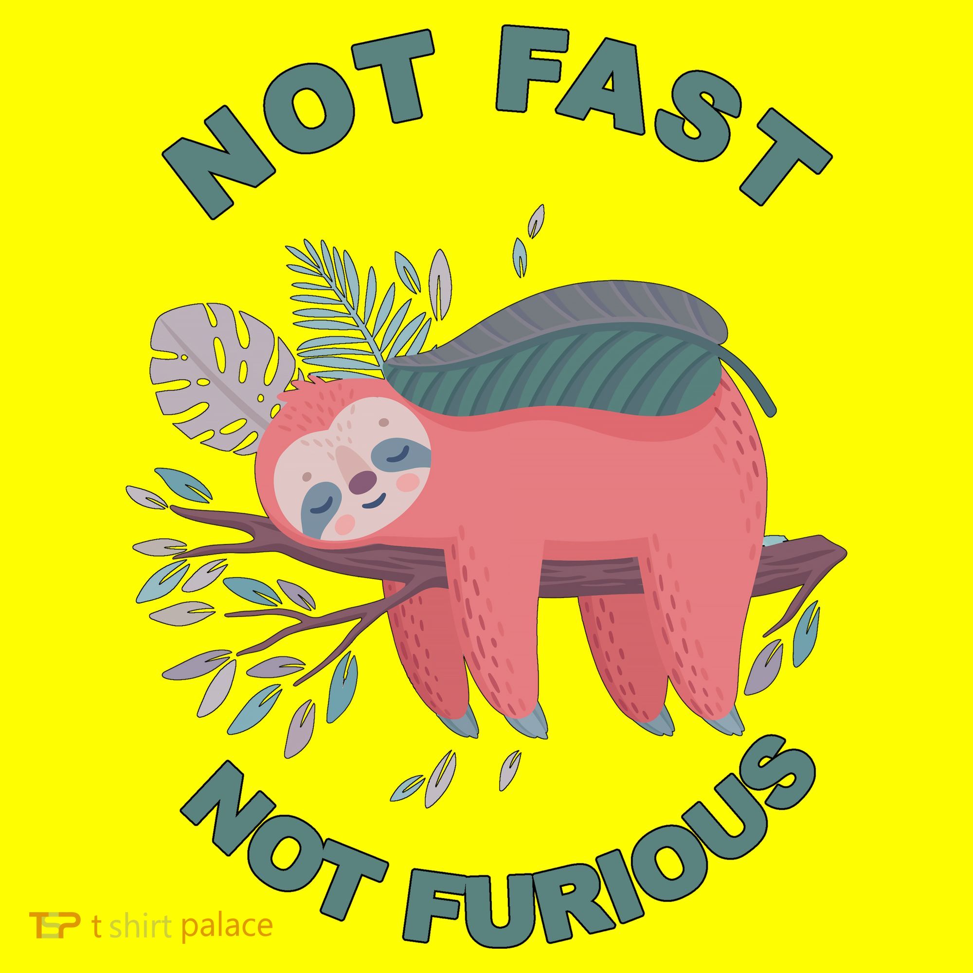 Not Fast Not Furious Sloth Cute Hat
