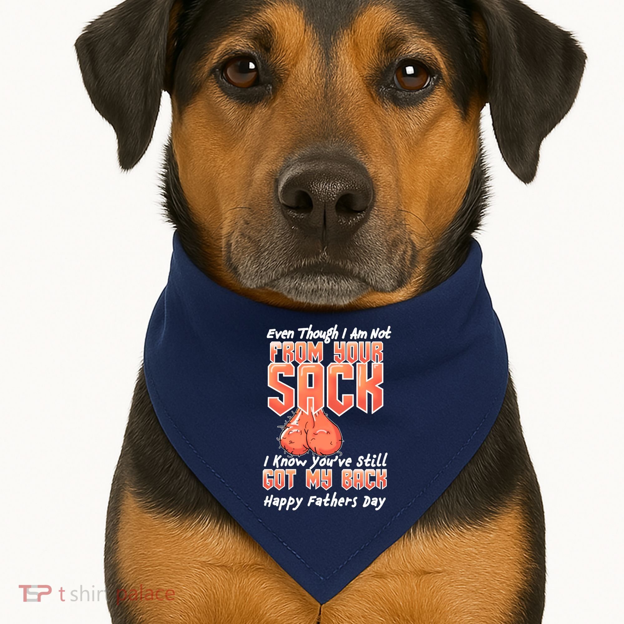 Not From Your Sack I Know You've Still Got My Back USA-Made Doggie Bandana