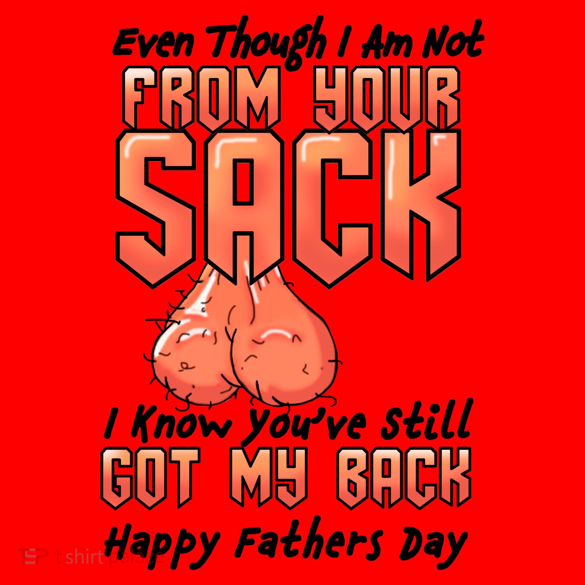 Not From Your Sack I Know You've Still Got My Back Santa Hat