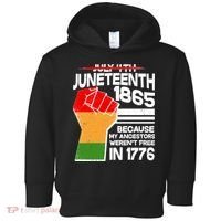 Not July 4th Juneteenth 1885 Toddler Hoodie thumb 0