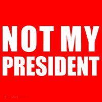 Not My President Classic Logo Button thumb 1