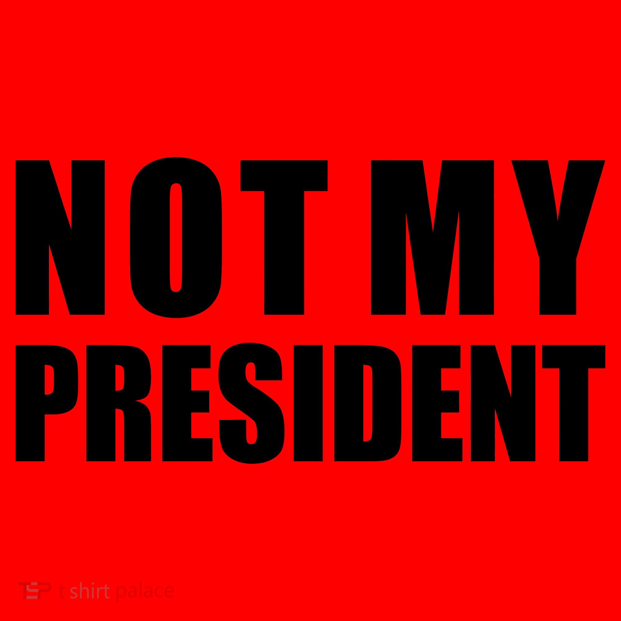 Not My President Classic Logo Santa Hat