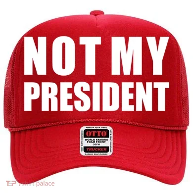Not My President Classic Logo Hat