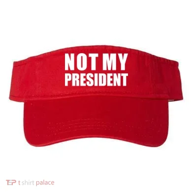 Visor