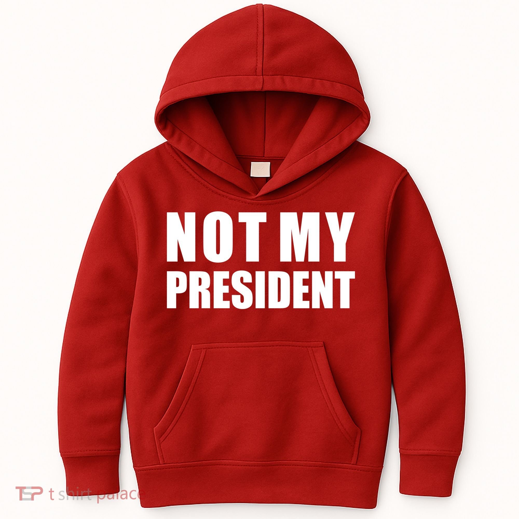 Not My President Classic Logo Kids Hoodie