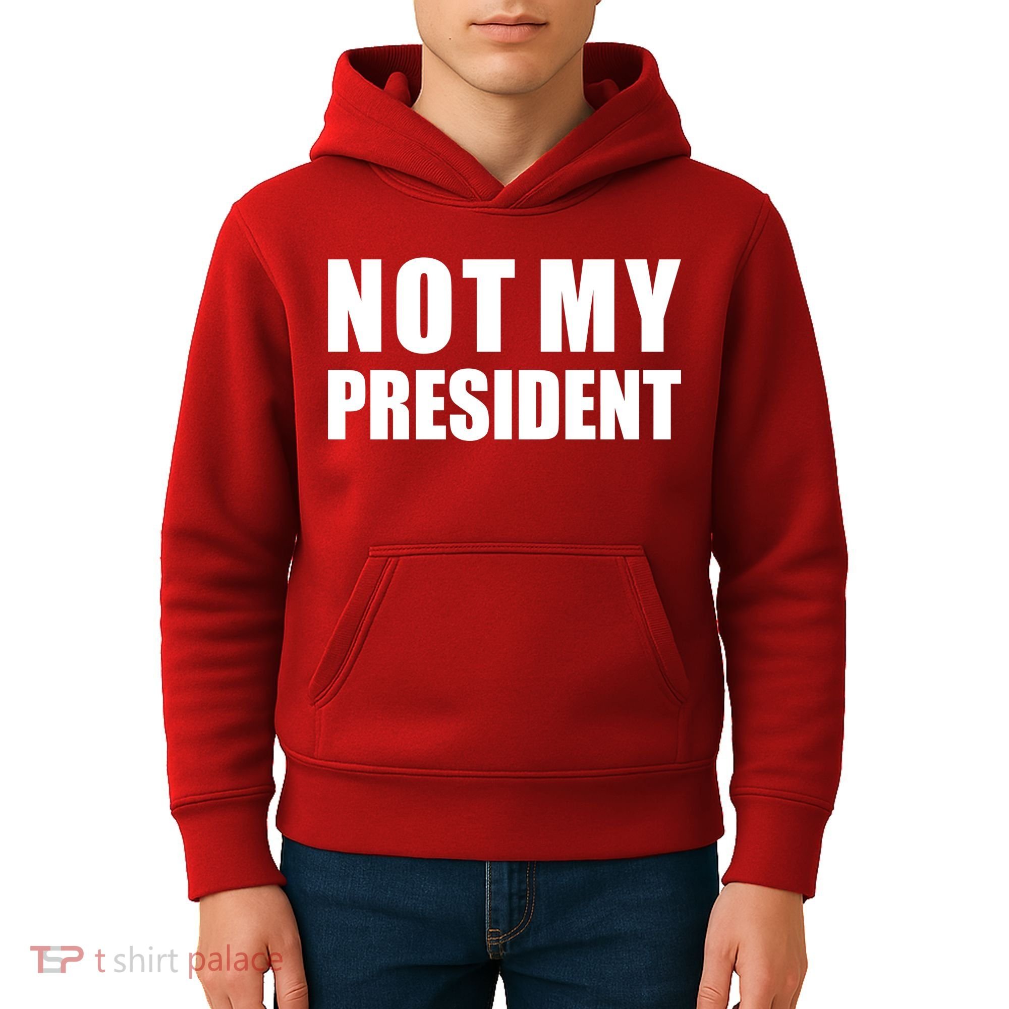 Not My President Classic Logo Kids Hoodie