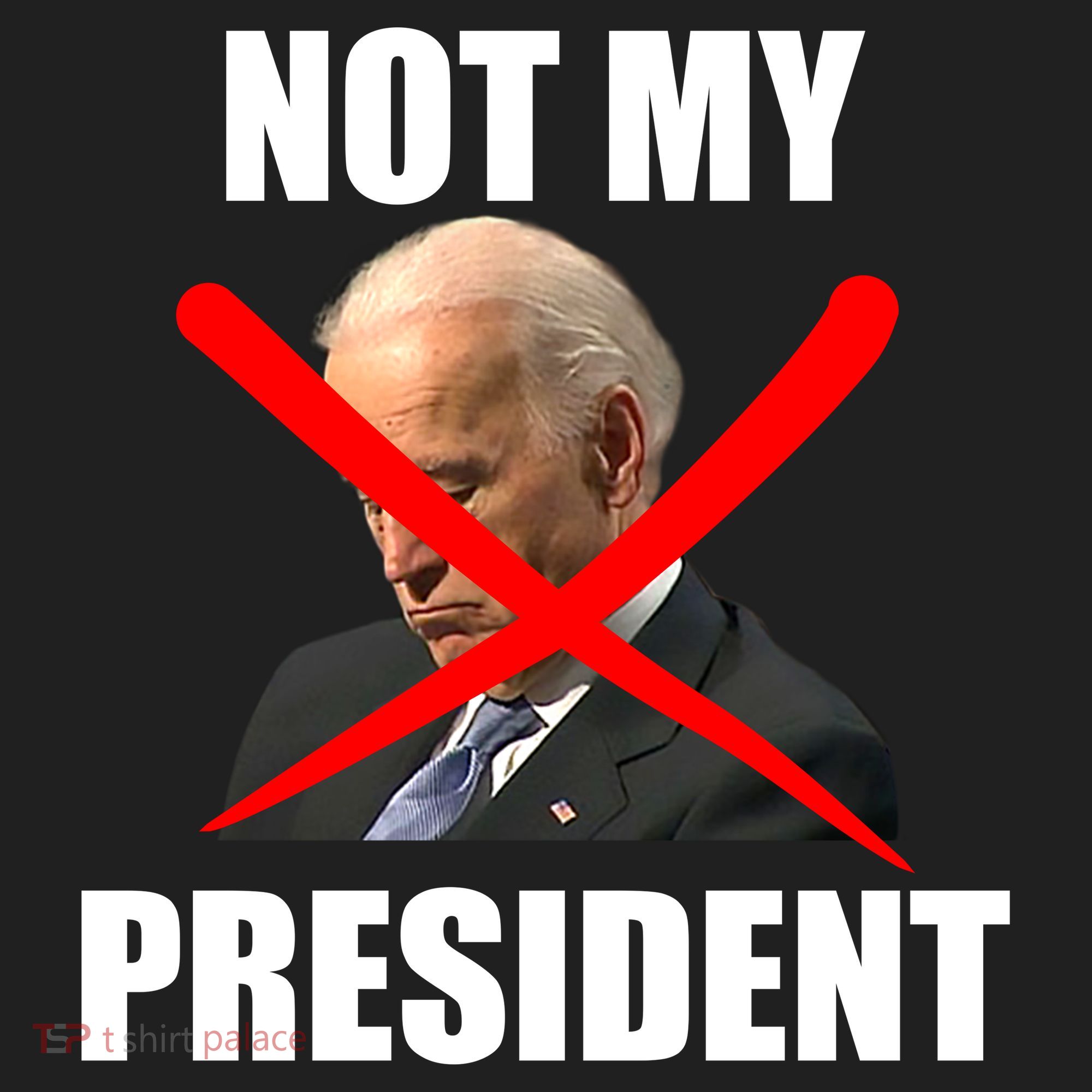 Not My President Trump Anti Biden Beanie