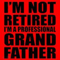 Not Retired I'm A Professional Grandfather Santa Hat thumb 1