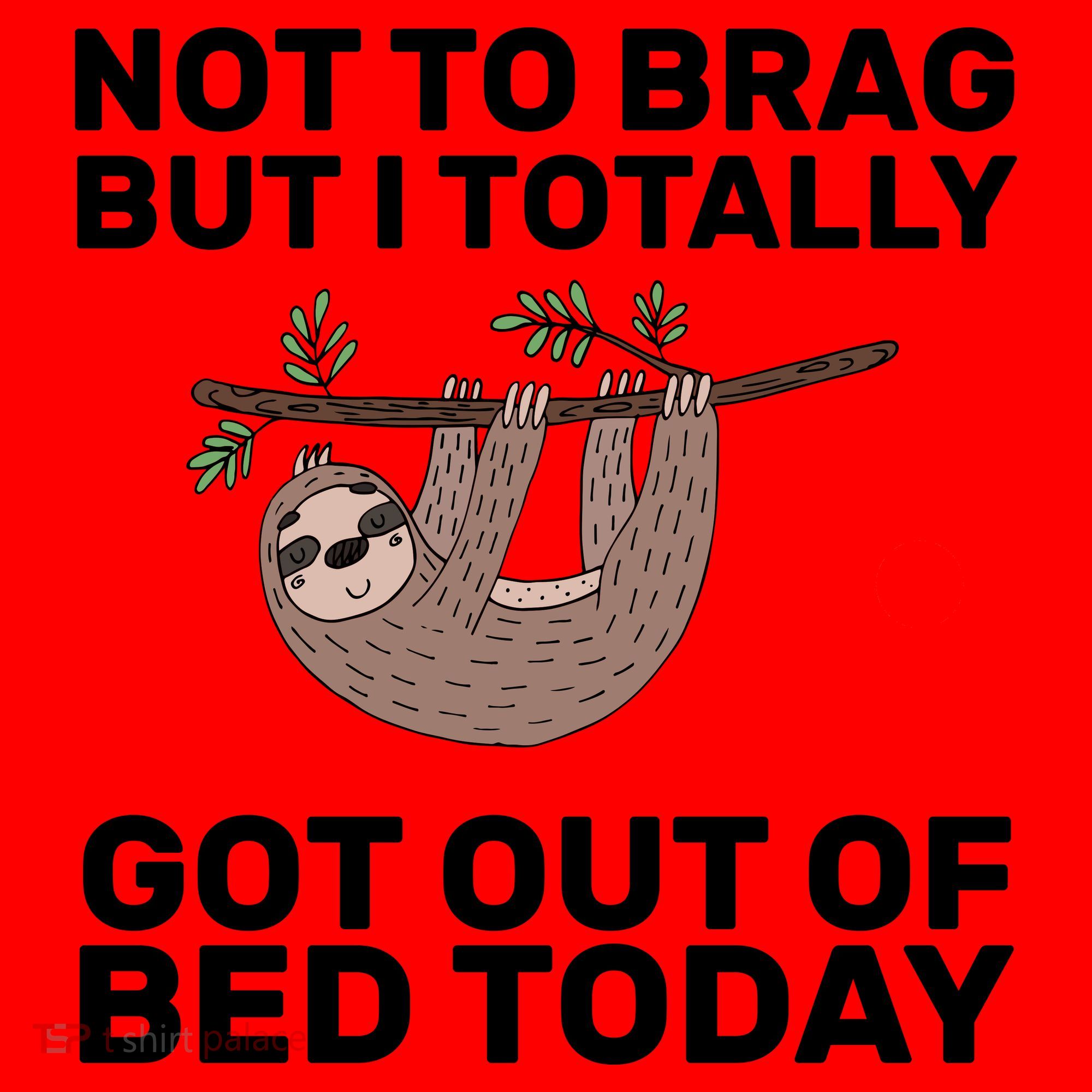 Not To Brag Got Out of Bed Santa Hat