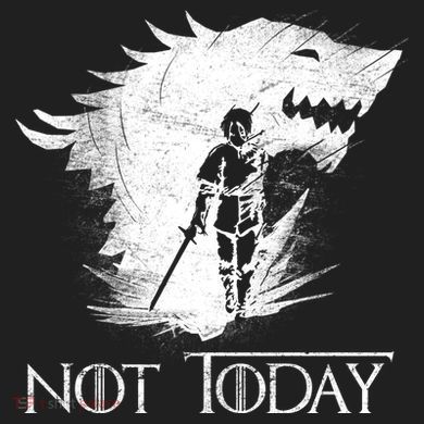 Not Today Arya Wolf Women's Cooling Performance Crew T-Shirt
